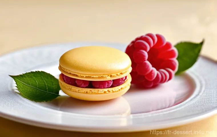 제조사별 디저트 리뷰 - A close-up, highly detailed shot of an exquisite artisanal French pastry, such as a "trompe-l'œil" f...