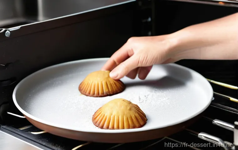 마들렌 만드는 법 - **Prompt:** A close-up, high-angle shot capturing a trio of perfectly baked French madeleines, showc... 마들렌 만드는 법 - **Prompt:** A close-up, high-angle shot capturing a trio of perfectly baked French madeleines, showc...